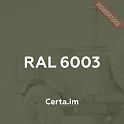 Краска эмаль термостойкая по металлу ЦЕРТА (CERTA) Защитный 600 градусов банка 0,8 кг
